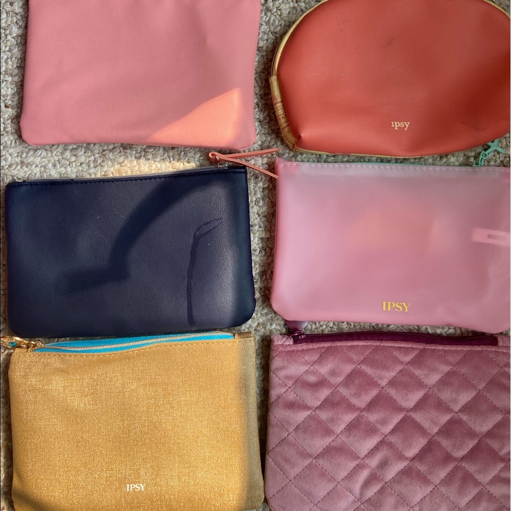 Ipsy Make Up bags